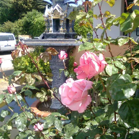 Alithai Portoferraio