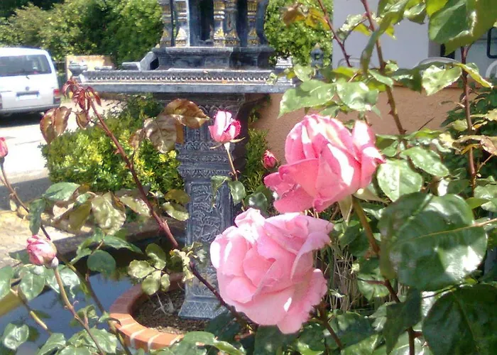 Alithai Portoferraio